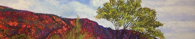 AUSTRALIAN PASTEL ARTIST